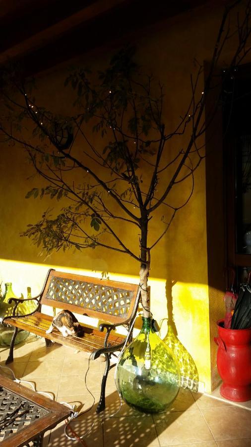 Bed and Breakfast La Cascina Di Alice Кастільйоне-делле-Стів'єре Екстер'єр фото